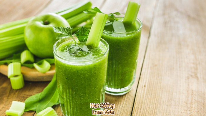 pha chế nước ép cỏ lúa mì