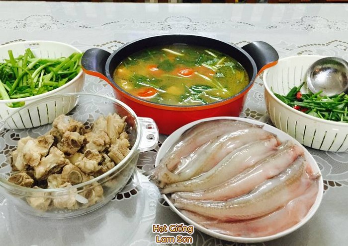 món ăn từ rau thì là