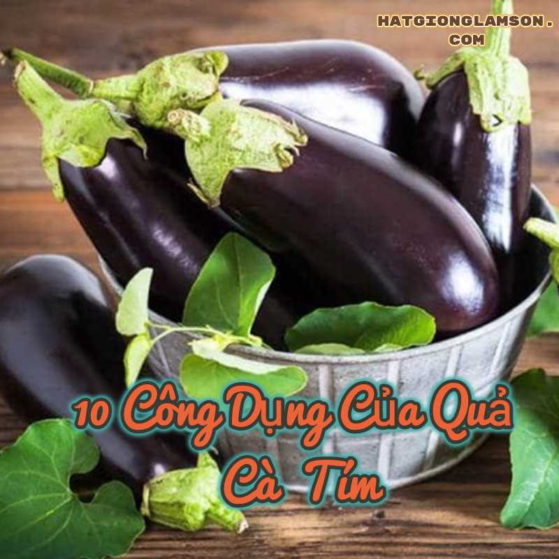 10 công dụng tuyệt vời từ quả cà tím có thể bạn chưa biết