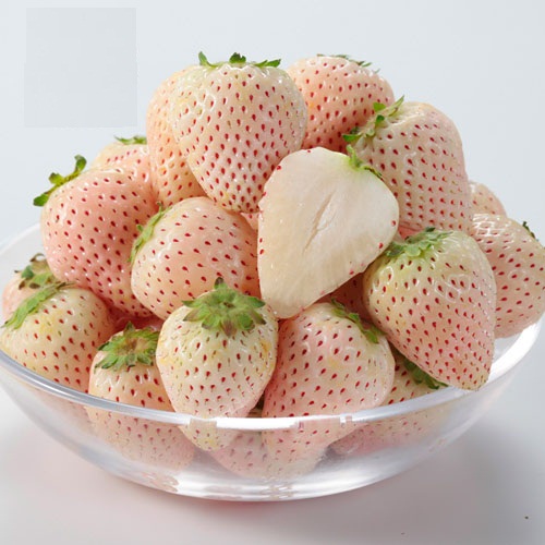 Những Lợi Ích Bất Ngờ Từ Dâu Tây Trắng