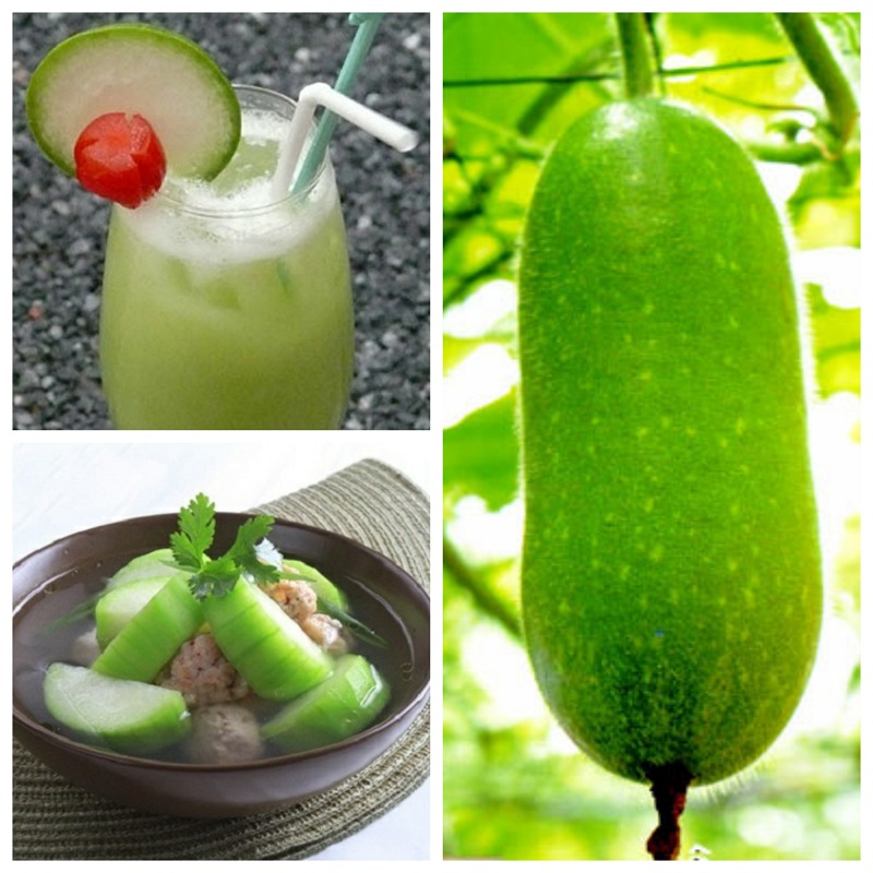Thành Phần Và Công Dụng Của Bí Đao Chanh