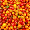 Combo 5 Gói Hạt Giống Cà Chua Cherry Đỏ F1 Gói Lớn