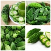 Hạt Giống Khổ Qua Gai Xanh